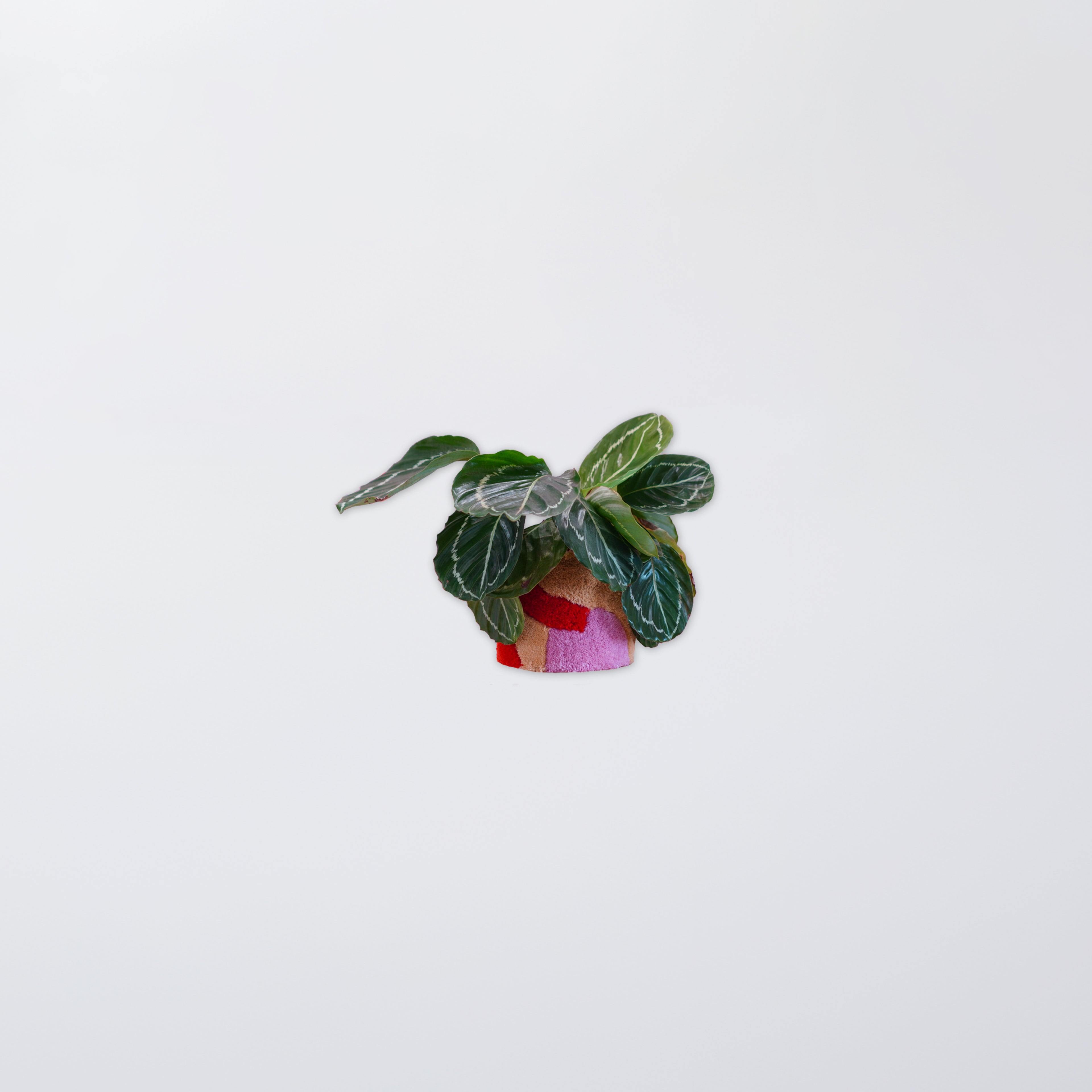 Tuft for your plant – Workshop