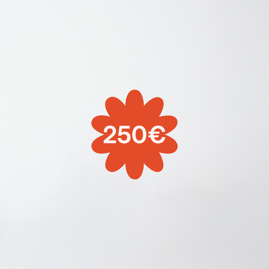 250,00 €