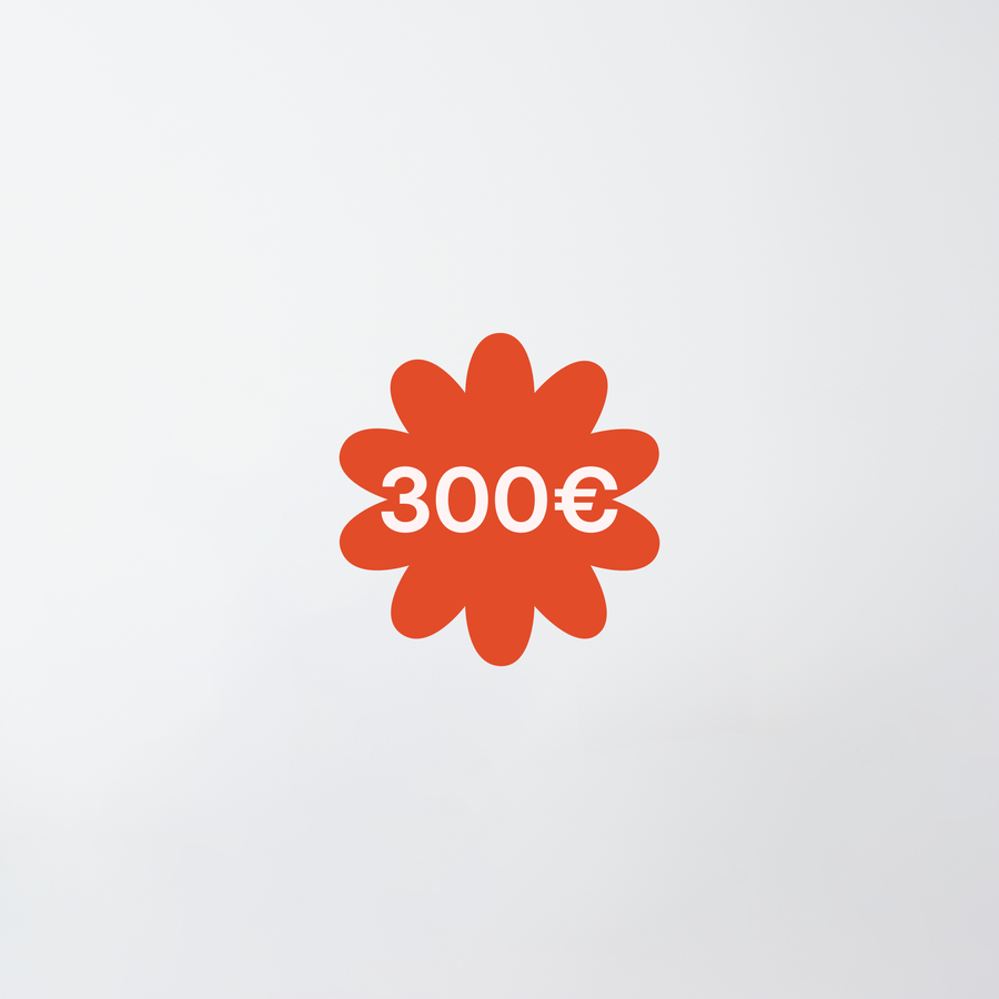 300,00 €